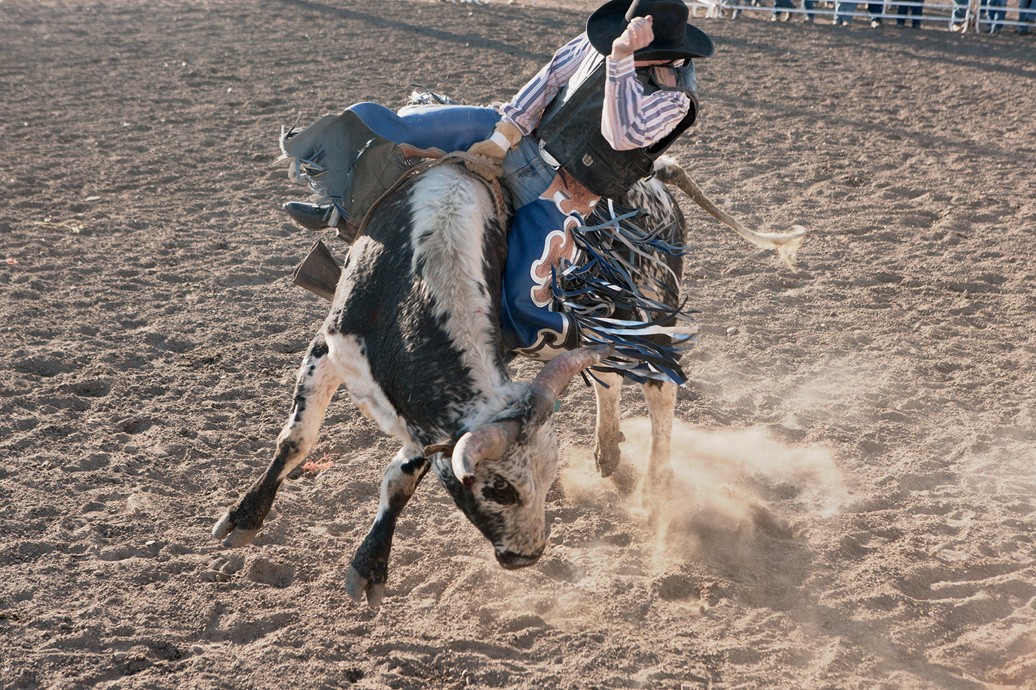 Bucking Horse by Randi Berez Beauty and Photo Artist Agency